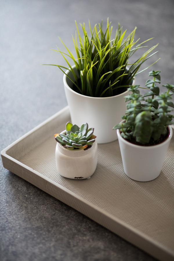 Stylish And Spacious 2Bd - Thiseio By Upstreet Athen Eksteriør billede